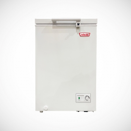 FREEZER MAIGAS BD-100B