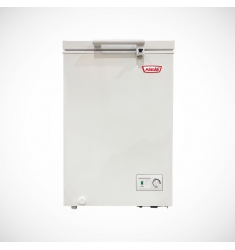 FREEZER MAIGAS BD-100B