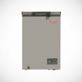 FREEZER MAIGAS BD-100G