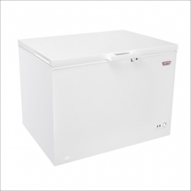 FREEZER MAIGAS BD-251 251 LTS