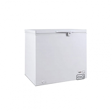 FREEZER MAIGAS BD-380