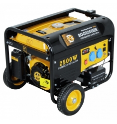 GENERADOR SDS SGG3500EH