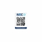 MAQUINA CORTAR PASTO EVEREST X51PHL-T