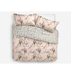 PLUMON ROSEN 1.5 PL.GERANIO