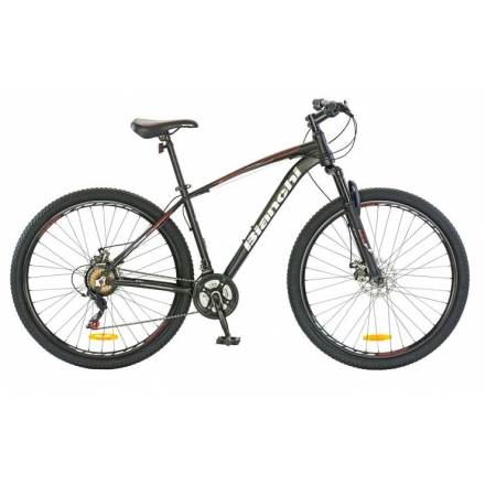 BICICLETA BIANCHI STONE 29 SX ALLOY