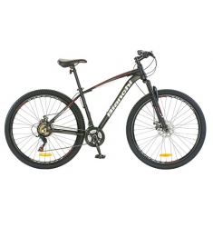 BICICLETA BIANCHI STONE 29 SX ALLOY