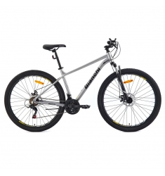 BICICLETA BIANCHI EVOLUTION 29SX