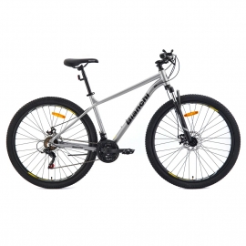 BICICLETA BIANCHI EVOLUTION 29SX