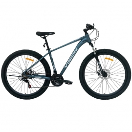 BICICLETA VISION ROCKET 7 AZUL A-29