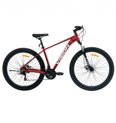 BICICLETA VISION ROCKET 7 ROJA A-29