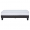 CAMA ROSEN ERGO T 0.90